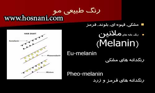 melanin