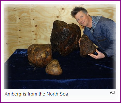 Ambergris or grey amber, is a solid, waxy, flammable substance of a dull grey or blackish colour, produced in the digestive system of sperm whales