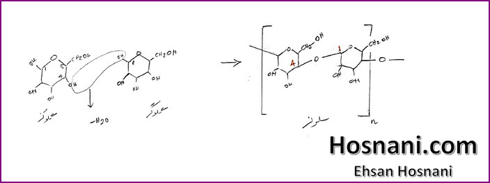 Cellulose is a polysaccharide consisting of a linear chain of several hundred to many thousands of beta linked D glucose units.