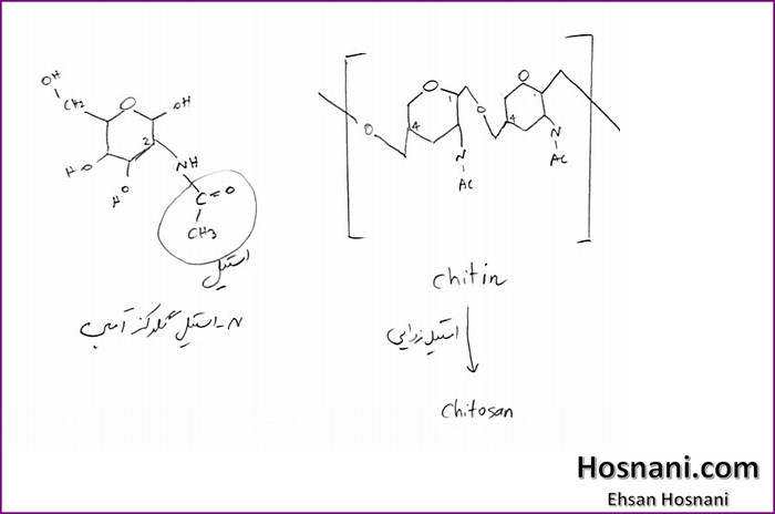 Chitin is the second most abundant polysaccharide in nature, after cellulose. It is composed of glucosamine and N acetylglucosamine monomers, with a majority of the latter.