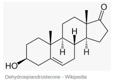 Dehydroepiandrosterone