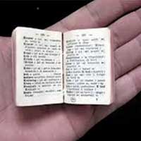 My dictionary