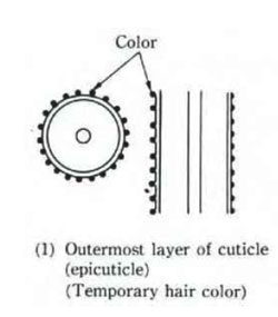 mechanism temporary