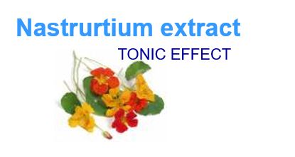 nasturium