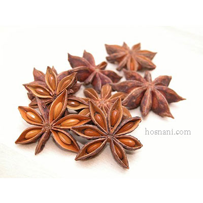 plant Illicium verum og