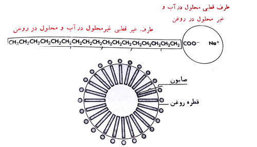 soap structure